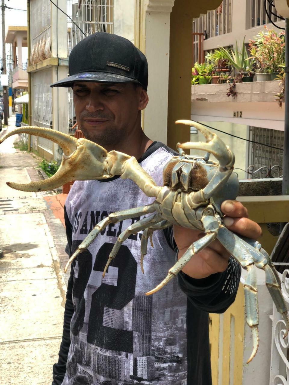 Casita Paraiso Aguadilla Kültér fotó
